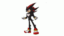 Shadow T Hedgehog