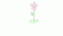 Smol flower