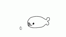 seal observes egg with curiosity