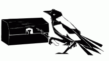lockpicking magpie