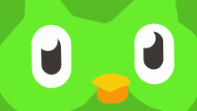 Beware The Duolingo Owl