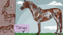 Tango ref