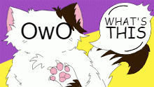 *notices contest* OwO What's This?