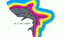 Gay Shark pfp