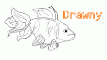 lil fish sketch