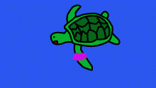 Vsco Turtle