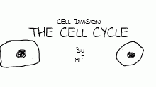 The Cell Cycle- Mitosis and Meiosis