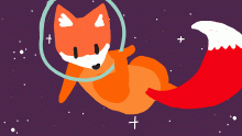 foxes in space