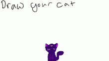 draw your cat