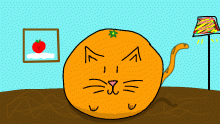I made an orange kitty