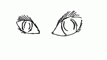 female eyes ... I think ...