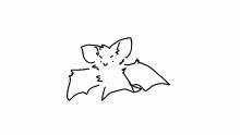 attemping to draw bat