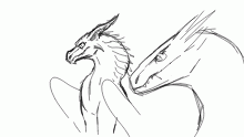 dragon sketches