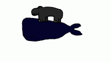hippo riding whale