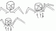 spider bb doodles