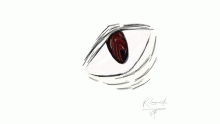 an eye.