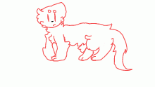furry cat