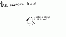 the aware bird