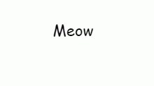 Meow.