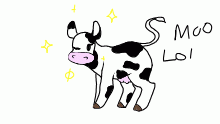 isa cow