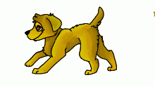 Leo the Golden pup!