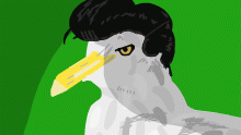 Slick Seagull