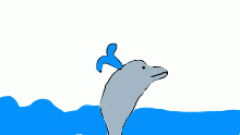 dolphin :D