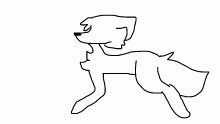 perro corriendo