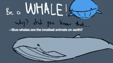 Be a Whale!