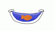 My fish bowl