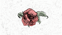 Roses Of Ink