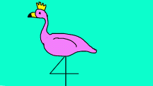 This is Mango the Flamingo