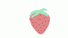 strawberry berry berry