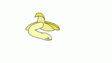banana snake (bionicle.exe's oc)