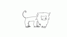 an ugly lion animation