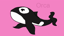 Orca (TABLEt PRACTICE)