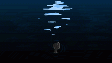 Ocean (midnight swim)