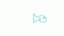 A fish, nothing else to it