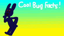 Cool bug facts meme template