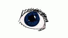Le eye