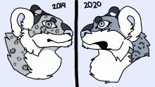 Snow leopard 2019-2020