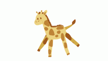 I Draw a giraffe