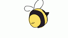 circle bee