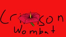 hibiscus#2