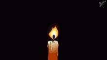 candlelight (24fps)