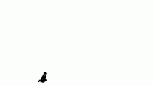 Latest animation by Systematical