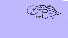 Turtle